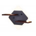 Бра Ambrella Light FW101