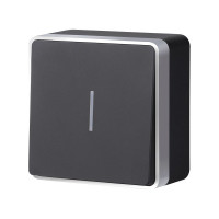 Выключатель Werkel W5010134 черный с серебром
