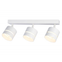 Спот Ambrella Light TN71062