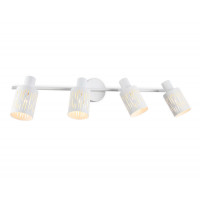 Спот Ambrella Light TR8666