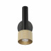 Спот iLedex 2360-1 BK+BR