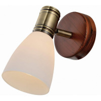 Спот TOPLIGHT TL3720Y-01BB