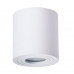 Влагозащищенный светильник ARTE Lamp A1460PL-1WH