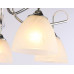 Накладная люстра Ambrella Light TR3042