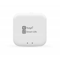WI-FI конвертер Ambrella Light GL1920