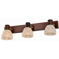 Спот TOPLIGHT TL3730Y-03BB