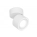 Спот Ambrella Light TN268