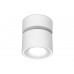 Спот Ambrella Light TN268