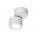 Спот Ambrella Light TN268