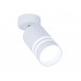 Накладной светильник Ambrella Light TN245