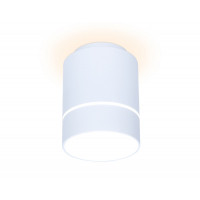 Накладной светильник Ambrella Light TN255
