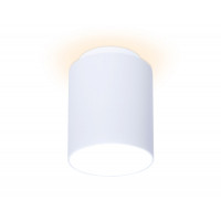 Накладной светильник Ambrella Light TN260