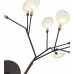 Бра Kink Light 07521-9,19(21)