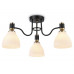 Накладная люстра Ambrella Light TR303303