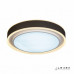 Накладной светильник iLedex B6233-91W/520 WH