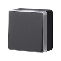 Выключатель Werkel W5010034 черный с серебром
